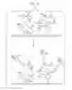 Fig. 02 - Affinity hydrogel and label independent detection methods thereof