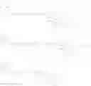 Fig. 08 - Biotinidase assay