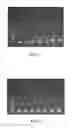 Fig. 06 - Methods of preventing non-specific reactions of nucleotide sequences
