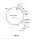 Fig. 06 - Cleaning System Comprising An Alpha-Amylase And A Protease
