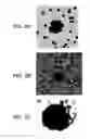 Fig. 07 - Apparatus for magnetic separation of cells