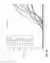 Fig. 09 - Apparatus for magnetic separation of cells
