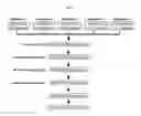Fig. 02 - Identification of antigenic peptides from multiple myeloma cells