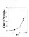 Fig. 09 - Identification of antigenic peptides from multiple myeloma cells