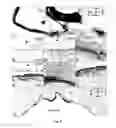 Fig. 08 - Multipotent neural stem cells