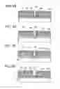 Fig. 06 - Method for manufacturing display device