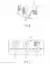 Fig. 06 - Steering apparatus for outboard motor