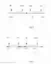 Fig. 05 - POSITIONING REFERENCE SIGNALS
