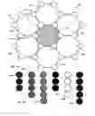Fig. 02 - Two party puzzle game