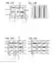 Fig. 10 - Gaming system having dynamically changing image reel symbols