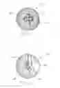 Fig. 02 - GOLF BALLS CONTAINING VISIBLE DECORATIVE INSERTS ENCLOSED IN TRANSPARENT LAYERS