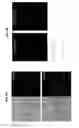 Fig. 07 - Automated detection and counting of biomolecules using nanoparticle probes