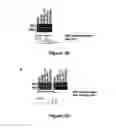 Fig. 06 - Method for diagnosing acute lymphomic leukemia (ALL) using miR-146a
