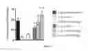 Fig. 02 - COMPOSITIONS AND METHODS FOR REDUCING RELAPSE OF ADDICTIVE BEHAVIOR
