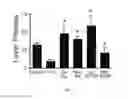 Fig. 03 - COMPOSITIONS AND METHODS FOR REDUCING RELAPSE OF ADDICTIVE BEHAVIOR
