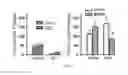 Fig. 04 - COMPOSITIONS AND METHODS FOR REDUCING RELAPSE OF ADDICTIVE BEHAVIOR