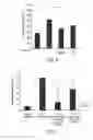 Fig. 06 - COMPOSITIONS FOR PROTECTION AGAINST SUPERFICIAL VASODILATOR FLUSH SYNDROME, AND METHODS OF USE