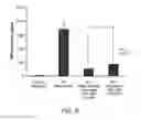 Fig. 07 - COMPOSITIONS FOR PROTECTION AGAINST SUPERFICIAL VASODILATOR FLUSH SYNDROME, AND METHODS OF USE