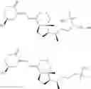 Fig. 43 - MOLECULAR ACTIVATORS OF THE WNT/BETA-CATENIN PATHWAY