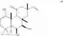 Fig. 07 - Lipolytic methods for regional adiposity comprising salmeterol or formoterol