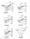 Fig. 07 - Methods and devices for delivery of compositions to conduits