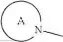 Fig. 264 - Benzofuran derivatives