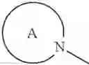 Fig. 35 - Benzofuran derivatives