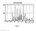 Fig. 07 - Polymorphic forms of 3-(4-amino-1-oxo-1,3 dihydro-isoindol-2-yl)-piperidine-2,6-dione
