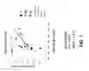 Fig. 02 - Methods and compositions for improving cognitive function
