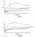 Fig. 08 - Oligonucleotide chelate complexes