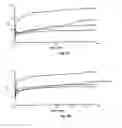 Fig. 09 - Oligonucleotide chelate complexes