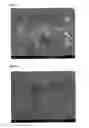 Fig. 03 - Method for producing phosphonic acid metal salt fine particles
