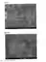 Fig. 06 - Method for producing phosphonic acid metal salt fine particles