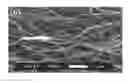 Fig. 01 - Method of preparing a nanofiber and a fuel cell including the nanofiber