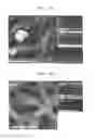 Fig. 06 - Method of preparing a nanofiber and a fuel cell including the nanofiber
