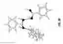 Fig. 06 - Methods of ring opening polymerization and catalysts therefor