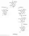 Fig. 05 - Combinatorial synthesis of libraries of macrocyclic compounds useful in drug discovery