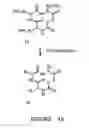 Fig. 07 - Combinatorial synthesis of libraries of macrocyclic compounds useful in drug discovery