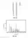 Fig. 113 - ROMIDEPSIN SOLID FORMS AND USES THEREOF