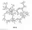 Fig. 52 - ROMIDEPSIN SOLID FORMS AND USES THEREOF