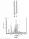 Fig. 66 - ROMIDEPSIN SOLID FORMS AND USES THEREOF