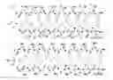Fig. 01 - Biomimetic peptoid polymers