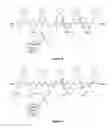 Fig. 08 - Biomimetic peptoid polymers