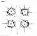 Fig. 04 - PEPTIDE NETWORKS