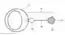 Fig. 01 - Glutathione-based delivery system