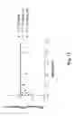 Fig. 13 - Modulation of antibody effector function by hinge domain engineering