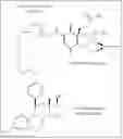 Fig. 24 - STEROIDAL ANTI-HORMONE HYBRIDS