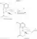 Fig. 08 - Processes for the preparation of morphinane and morphinone compounds