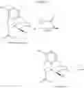 Fig. 09 - Processes for the preparation of morphinane and morphinone compounds