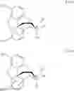 Fig. 29 - Processes for the preparation of morphinane and morphinone compounds